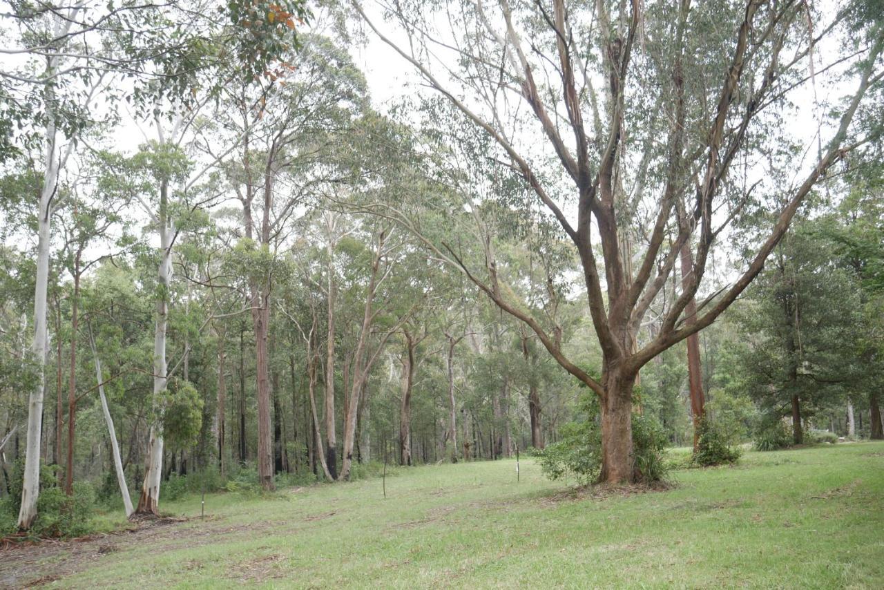 True North - 4Br Home & Garden In Bush Setting With Huge Bath Bilpin Exterior photo