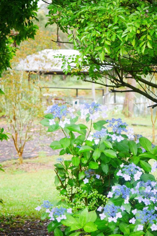 True North - 4Br Home & Garden In Bush Setting With Huge Bath Bilpin Exterior photo
